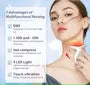USB Rechargeable EMS Face Massager