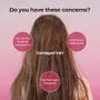 Damage Care Perfume Shampoo - 3 Types