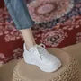 Platform Plain Lace Up Sneakers