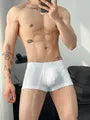 Plain Trunks