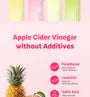 LIVELING Pineapple Cider Vinegar Stick Jelly - 2 Types 2pcs Bundle Set
