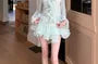 Long-Sleeve V-Neck Plain Ruffle Trim Tie Front Sheer Crop Blouse / Low Rise Rhinestone Accent Layered Mini A-Line Skirt