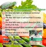 Fine Superfood Spirulina + Lactic Acid Powder 2pcs Bundle Set
