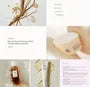Ginseng Holiday Kit