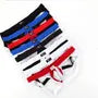 Panel Mesh Briefs