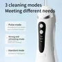 USB Rechargeable Water Flosser with Interchangeable Toothbrush Head