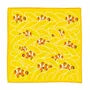Aquarium Handkerchief Clownfish