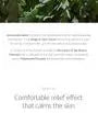 Mugwort Calming Mask