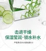 Aloe Vera Cucumber Hydrating Mask (10pcs)