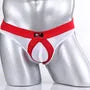 Panel Mesh Briefs