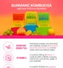 Tea For Better Life Kombucha Mini Pack - 7 Types