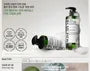 Cica Peptide Anti Hair Loss Derma Scalp Shampoo