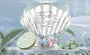 Shell's Jewel Perfume - 2 Type