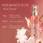 Professional Repairing Hair Perfume Serum Jumbo