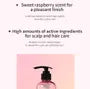 Raspberry Vinegar Hair Shampoo