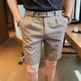Mid Rise Slim Fit Dress Shorts
