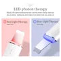 Dual Light Ultrasonic Skin Scrubber