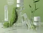Dive Into Verde Parfume - 3 Flavors