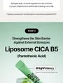 Super CICA B5 2pcs Bundle Set