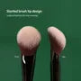Angled Blush Brush