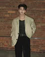 Lapel Collar Plain Single Breasted Blazer