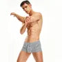 Striped Boxer Briefs