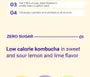 Beauty Secret Kombucha Lemon Lime