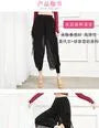 Dance Chiffon Cropped Harem Pants