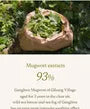 Mugwort Sheet Mask Set