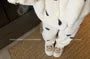 Pajama Set: Stand Collar Dotted Fleece Zip Jacket + High Waist Straight Leg Pants
