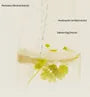 Salmon Fruity Centella Body Wash