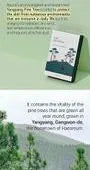 Pine Calming Cica Mask