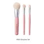 Mini Makeup Brushes Set