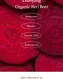 Beet Refresh Pad