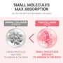 Pomegranate Small Molecule Collagen Vita C Gummy