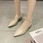 Pointed Toe Chunky Heel Mules