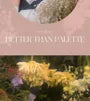Better Than Palette The Secret Garden - 9 Types