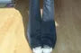 Low Rise Washed Slim-Fit Boot-Cut Jeans