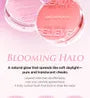 Artist Cushion Blush - 10 Colors