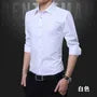 Long-Sleeve Plain Shirt