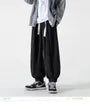 Drawstring Waist Plain Harem Sweatpants