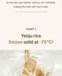 All About Rice Kit