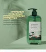 Pine Calming Cica Body Wash