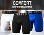 Training Shorts