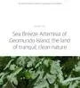 Mugwort Calming Cleanser