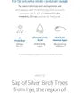Birch Juice Moisturizing Sunscreen