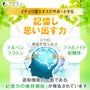 Function Claims Ginkgo Biloba Extract Memory Power Supplement