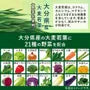 Green Juice and 21 Kinds of Vegetables