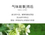 Yanyu Green Tea Eau De Parfum