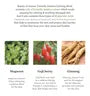 Centella Asiatica Calming Mask